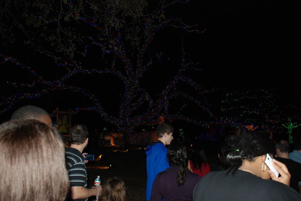 2013-12-20 20-33-58 Trail of Lights.jpg